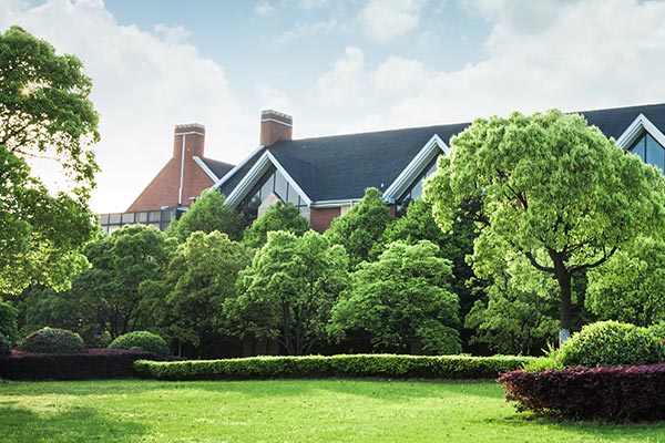 Tree trimming in Atlanta, GA |trimming services in Marietta, GA